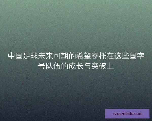 中国足球未来可期的希望寄托在这些国字号队伍的成长与突破上
